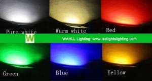 Application LED Outdoor Light WAHLL Lighting