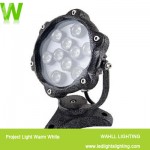 Project Light Warm White