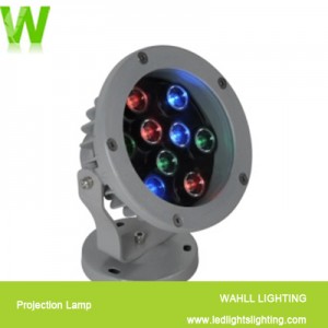Projection Lamp