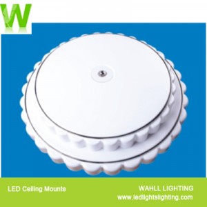 Ceiling Light Cake