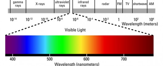 What is White Light LED