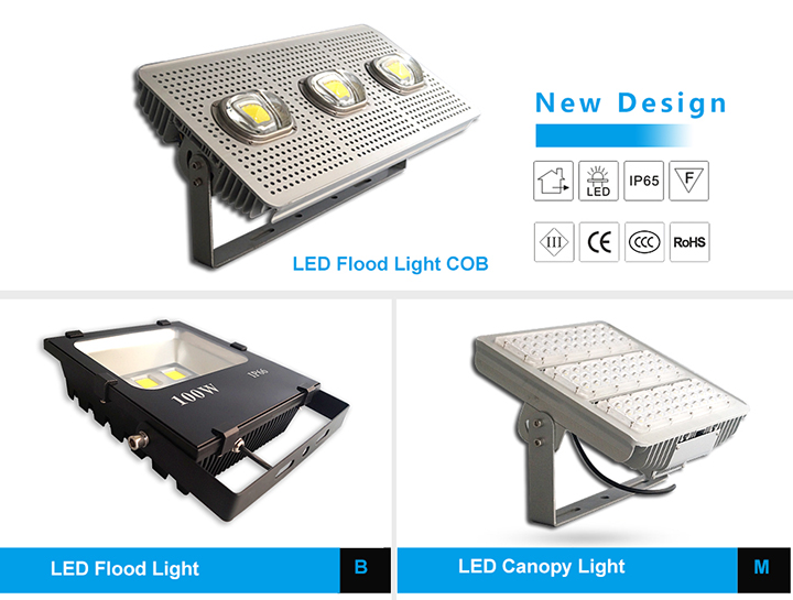 LED Flood Light COB