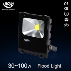 LED Floodlight