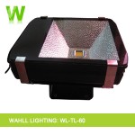 LED Tunnel Light Low Power Wide Angle