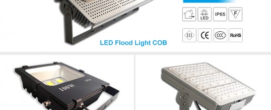 LED Flood Light